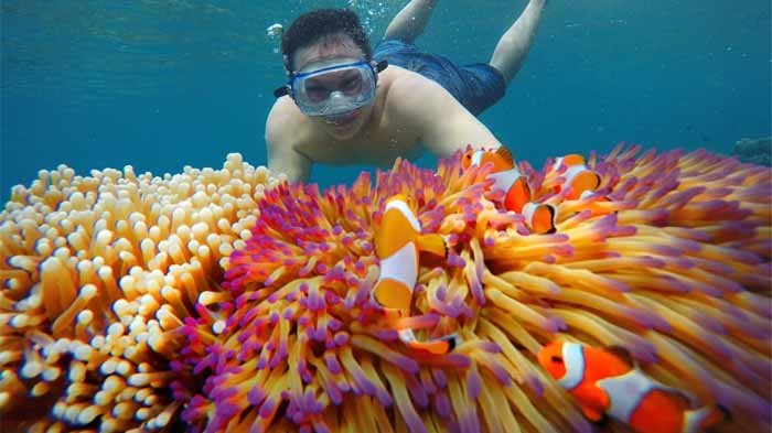 Snorkeling Pulau Pahawang