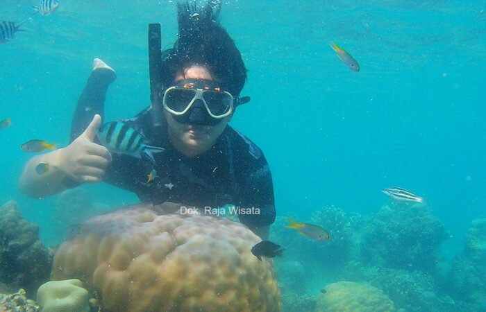 snorkeling di pulau pramuka