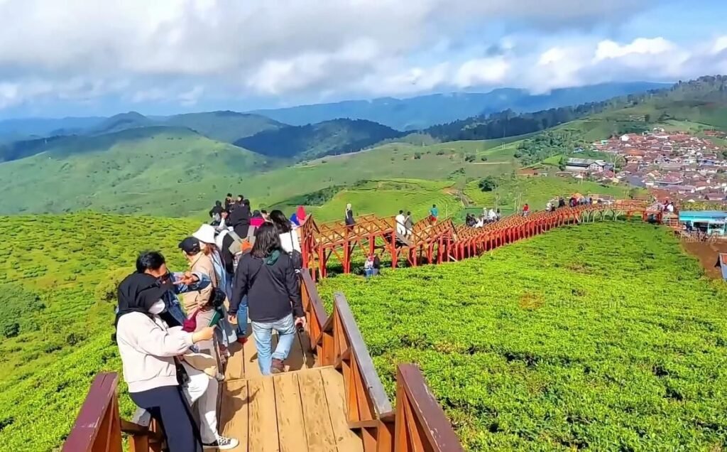 Trakking di Taman Langit Pangalengan