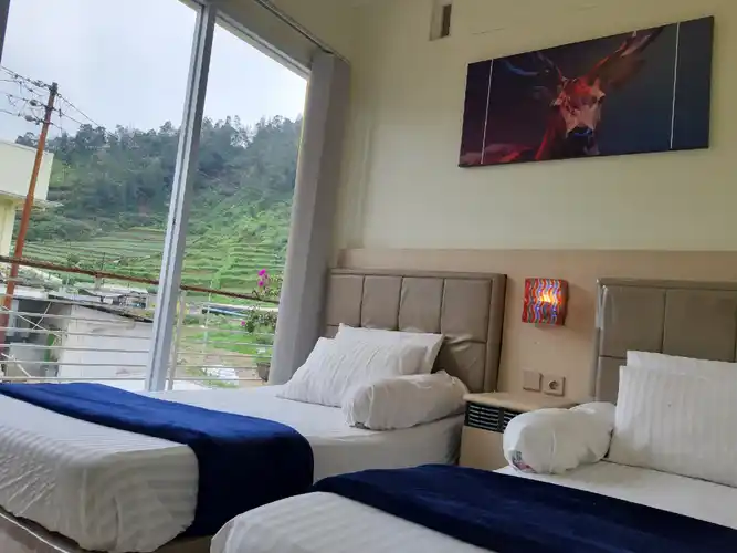 Dieng Cool Homestay