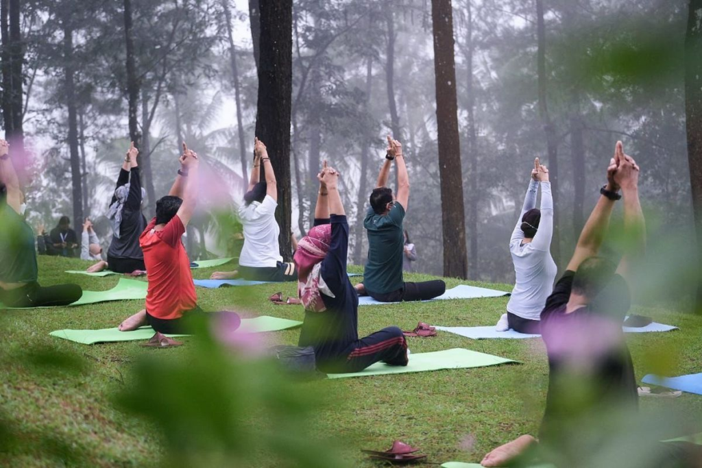 Wellness